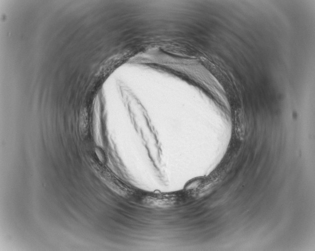 X0000085310563200704092326