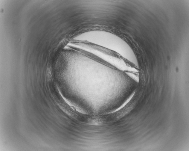 X0000085310564200704092326