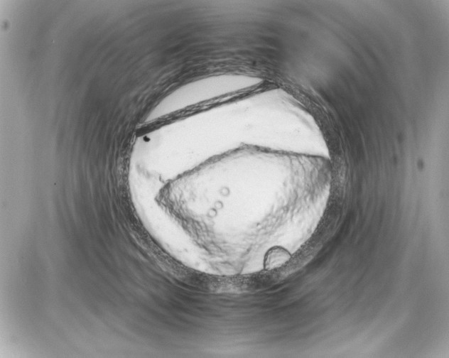X0000085310565200704092326