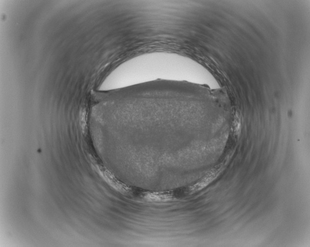 X0000085310568200704092326