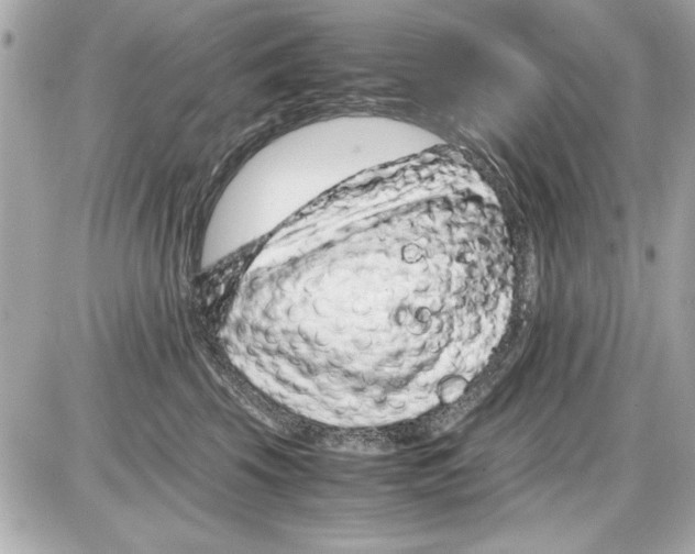 X0000085310569200704092326