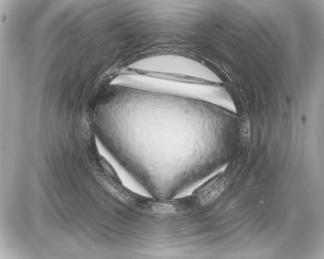 X0000085310572200704092326