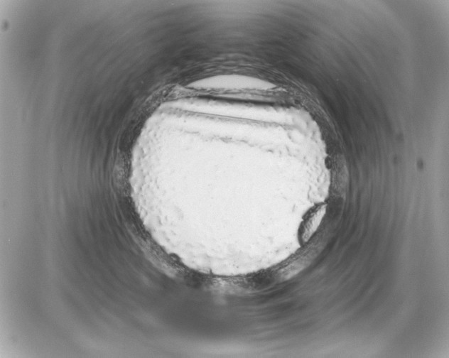 X0000085310573200704092326