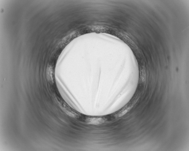 X0000085310575200704092326