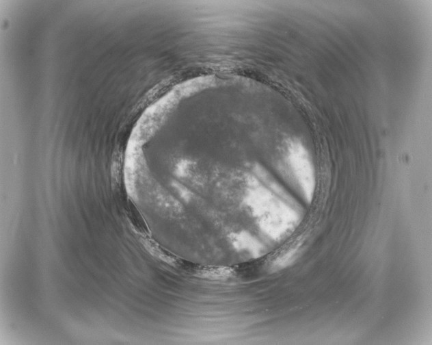 X0000085310576200704092326