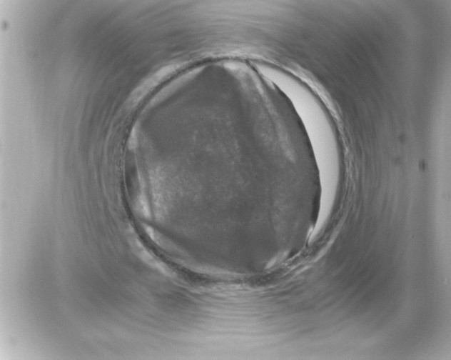 X0000085310577200704092325