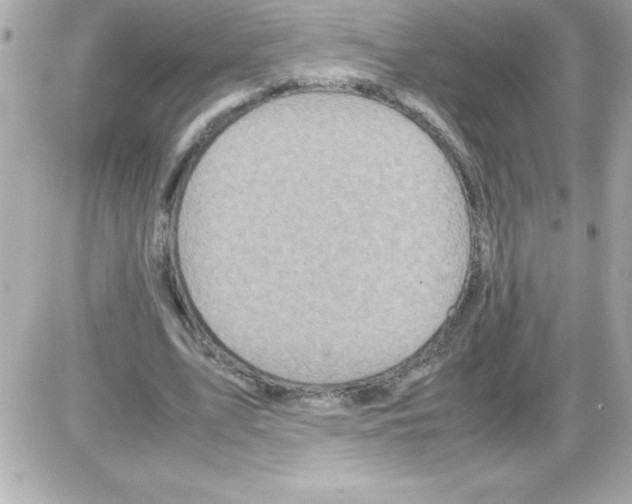 X0000085310583200704092325