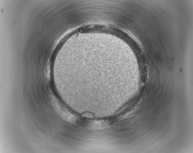 X0000085310584200704092325