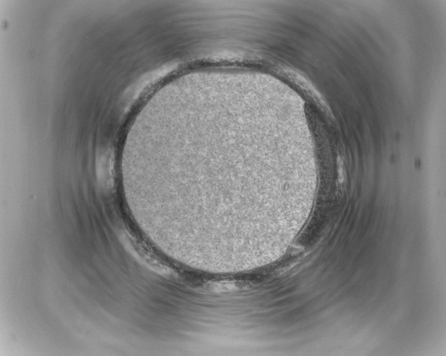 X0000085310588200704092325