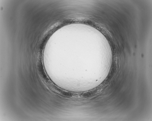 X0000085310591200704092325