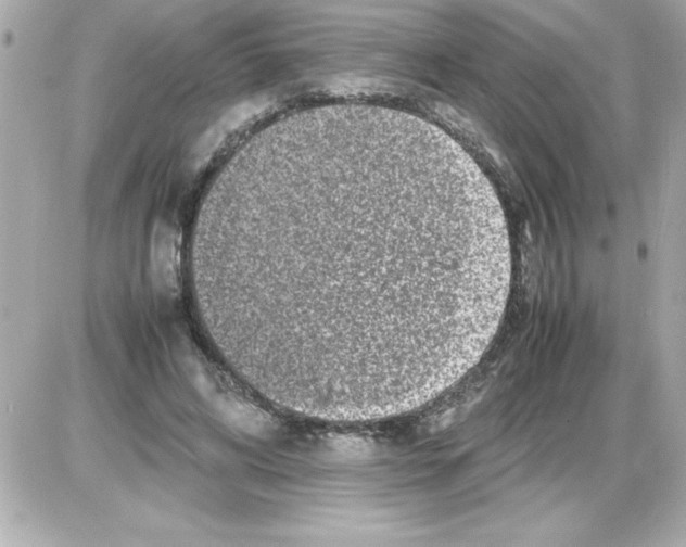 X0000085310592200704092325