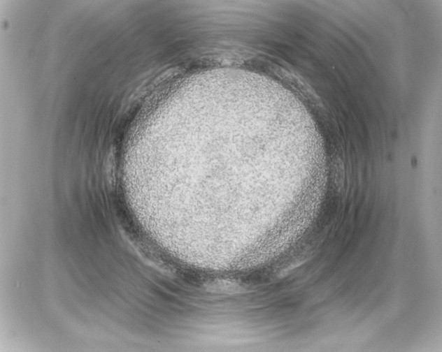 X0000085310594200704092325