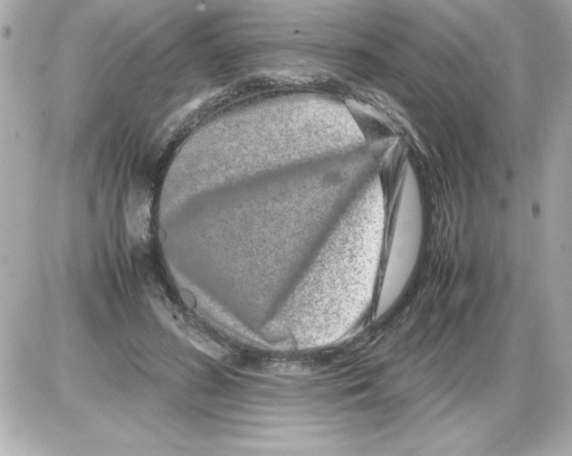 X0000085310596200704092325
