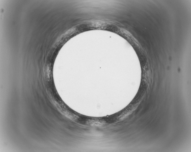 X0000085310597200704092325