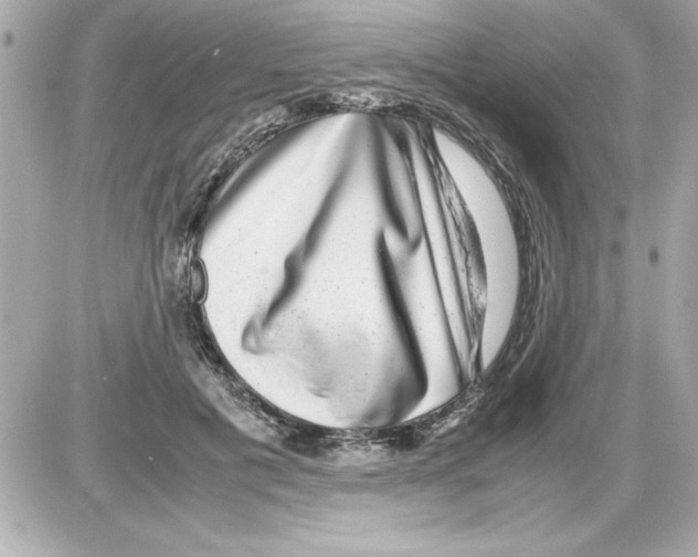 X0000085310601200704092325