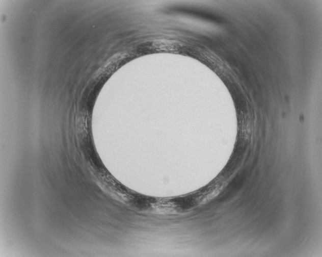X0000085310603200704092325