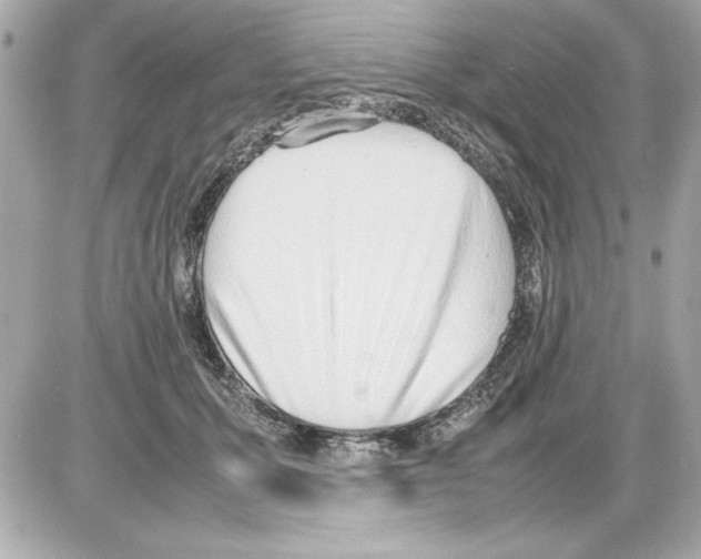 X0000085310607200704092325