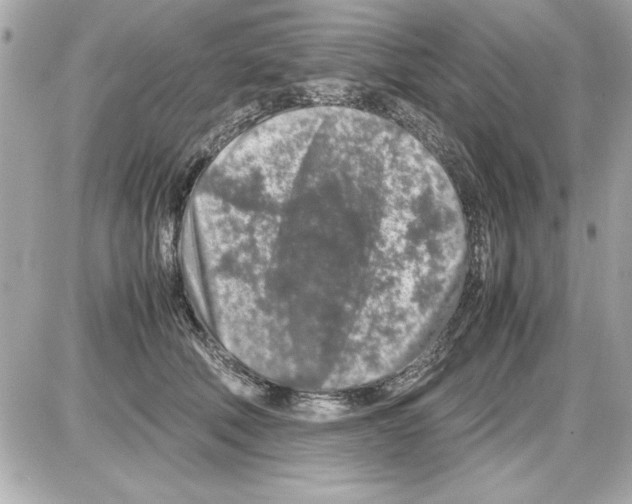 X0000085310610200704092325