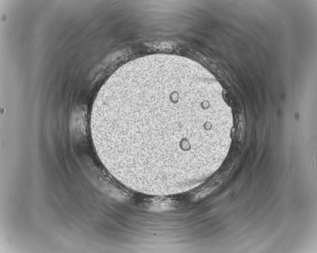 X0000085310612200704092325