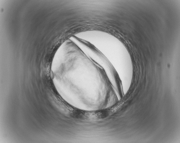 X0000085310613200704092325