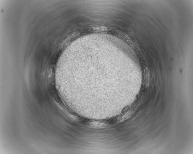 X0000085310614200704092325