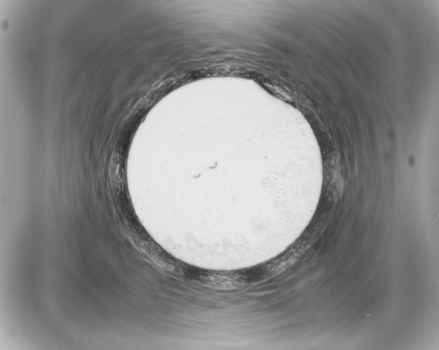 X0000085310615200704092325