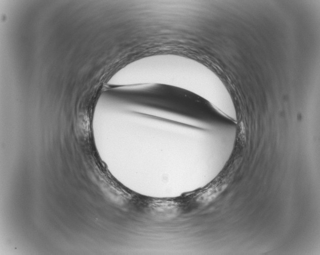 X0000085310617200704092325