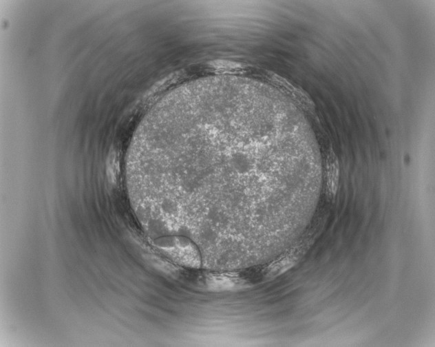 X0000085310618200704092325