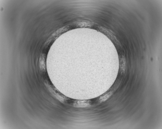 X0000085310622200704092325