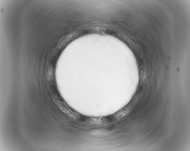 X0000085310623200704092325