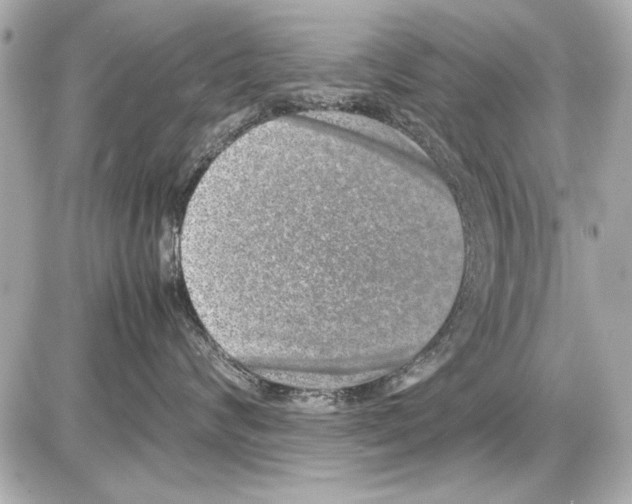 X0000085310624200704092325