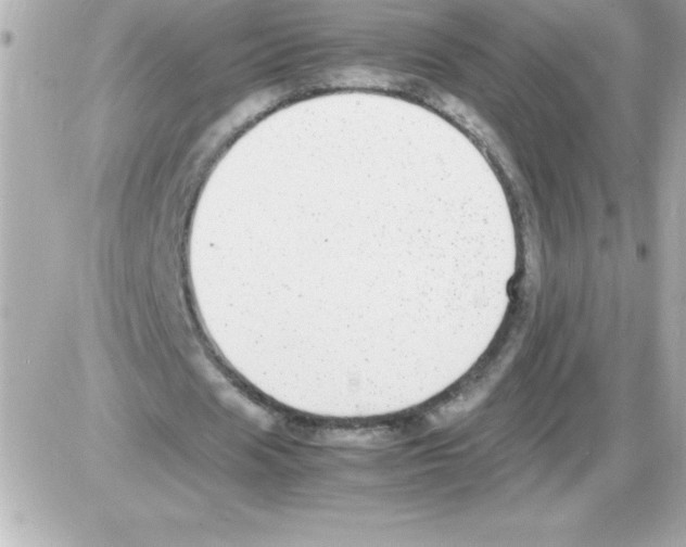 X0000085310625200704092324