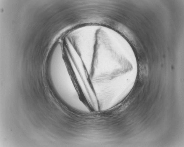 X0000085310628200704092324