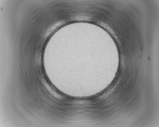 X0000085310629200704092324