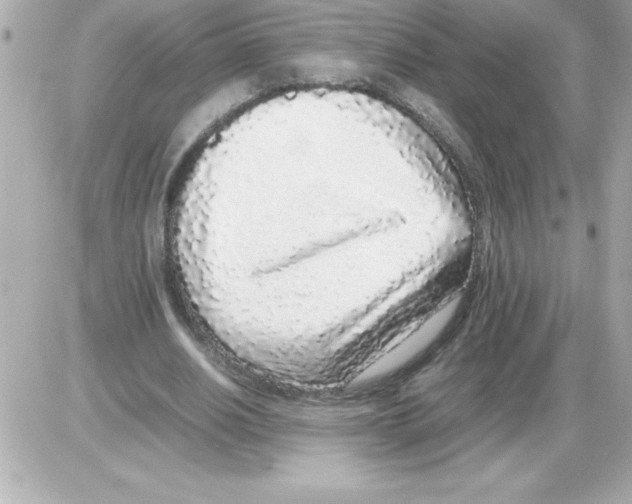 X0000085310630200704092324
