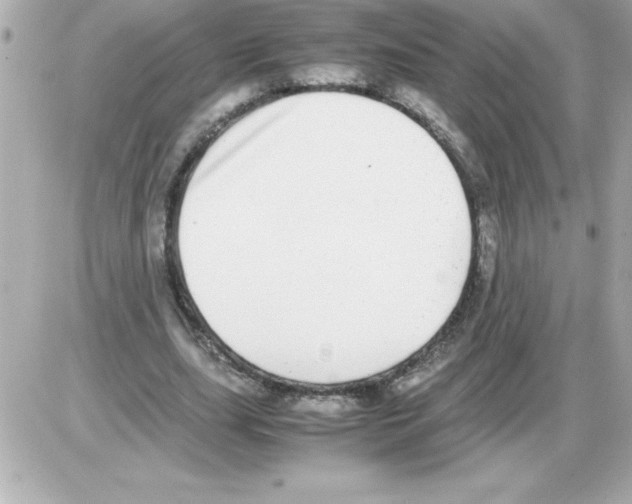 X0000085310631200704092324