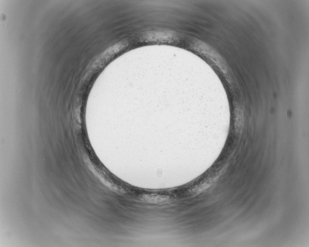 X0000085310633200704092324