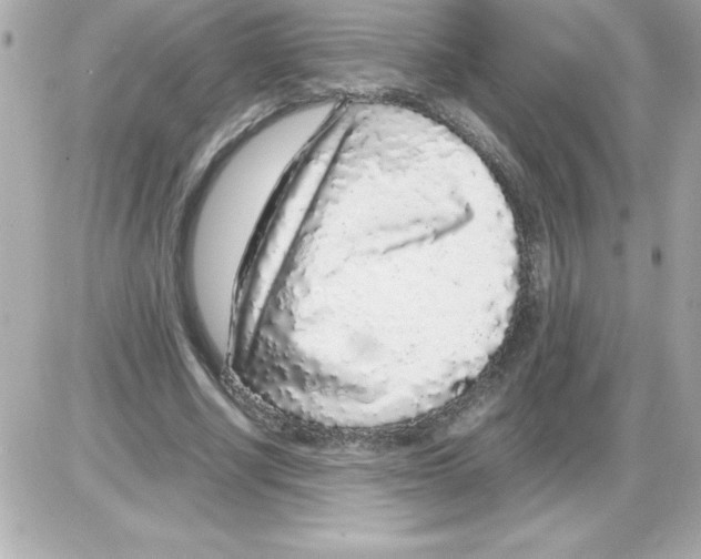 X0000085310634200704092324