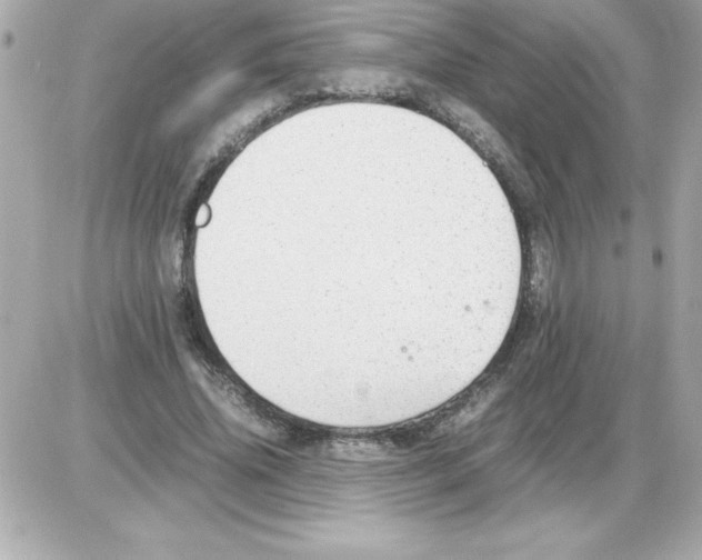 X0000085310636200704092324