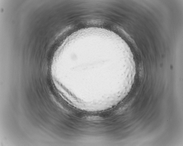 X0000085310637200704092324