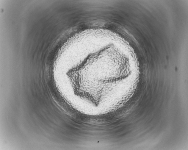 X0000085310641200704092324