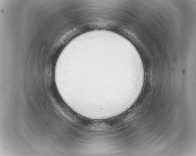 X0000085310642200704092324