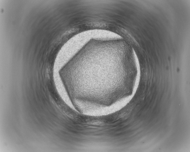 X0000085310643200704092324