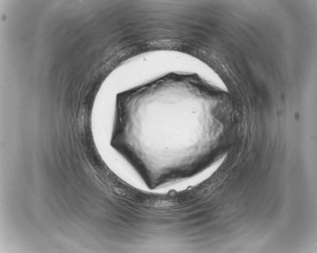 X0000085310647200704092324