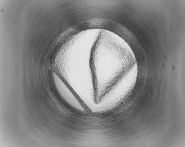 X0000085310648200704092324
