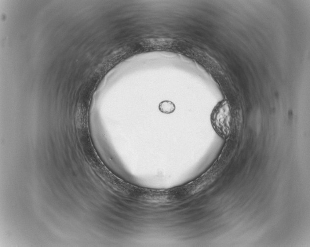 X0000085310651200704092324