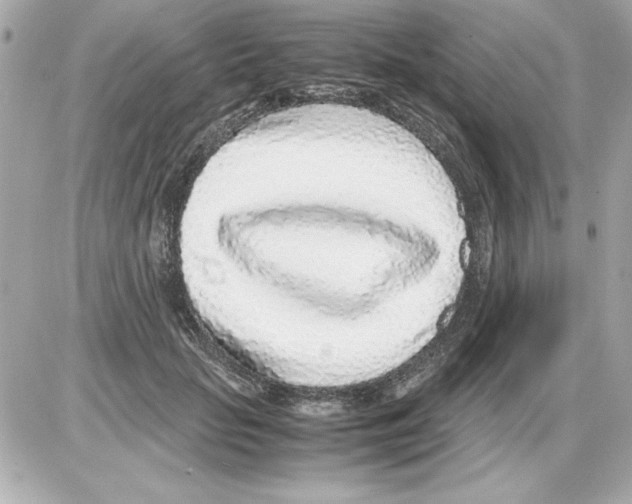 X0000085310653200704092324