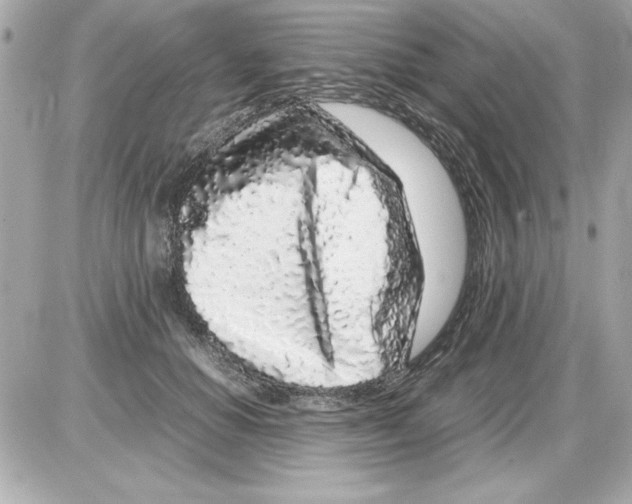 X0000085310654200704092324