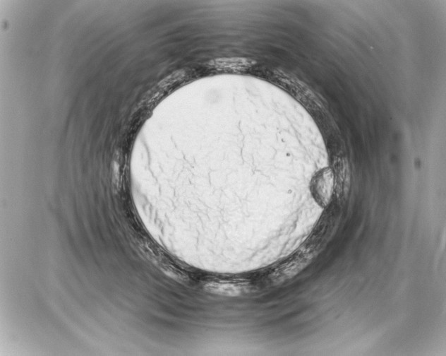 X0000085310655200704092324