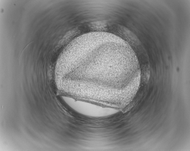 X0000085310658200704092324